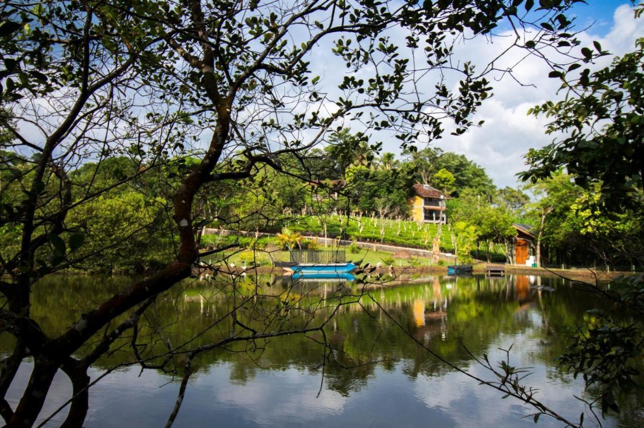 Lake Serenity Resort & Spa Kuruwita Екстер'єр фото